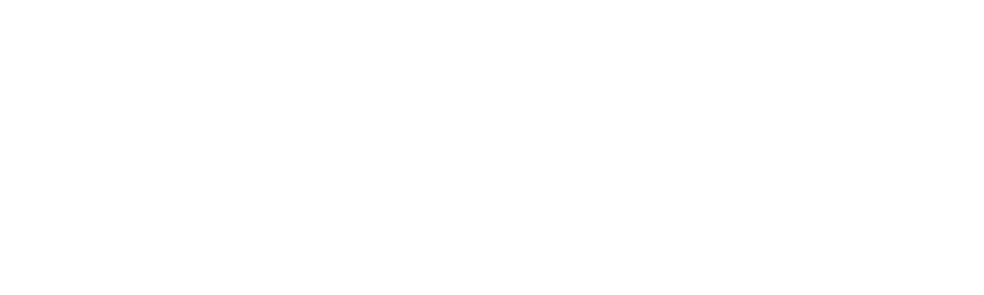 LogoWhite
